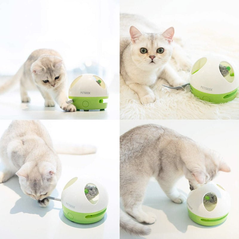 Hiding Mouse - Shopivet.com