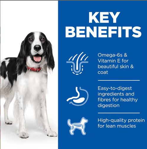 Hill’s Science Plan Adult Dog Food With Chicken (12x370g) - Shopivet.com