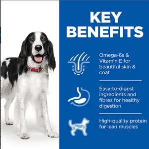 HILL’S SCIENCE PLAN Adult Dog Food with Turkey (12x370g) - Shopivet.com