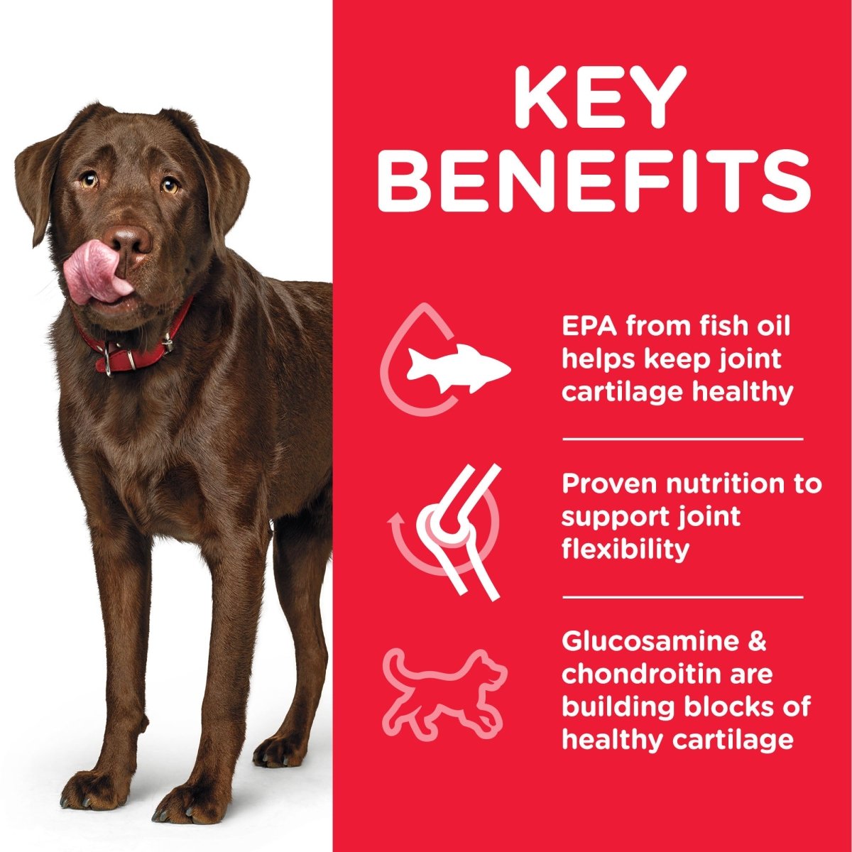 Hill’s Science Plan Healthy Mobility Large Breed Adult Dog Food With Chicken (14kg) - Shopivet.com