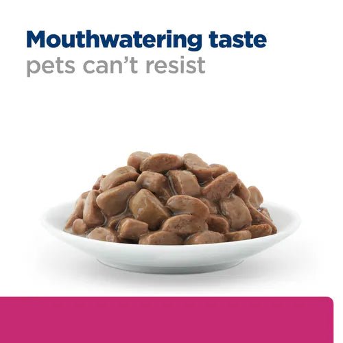 Hill’s Science Plan Hypoallergenic Adult Dry wet Food with Salmon (12x363g) - Shopivet.com