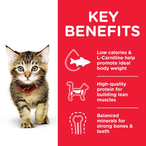 Hill’s Science Plan Kitten Food With Chicken (7kg) - Shopivet.com