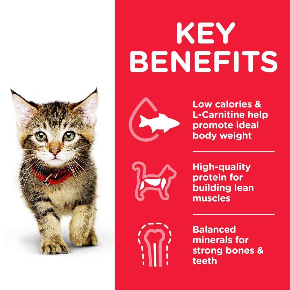 Hill’s Science Plan Kitten Food With Tuna (1.5kg) - Shopivet.com