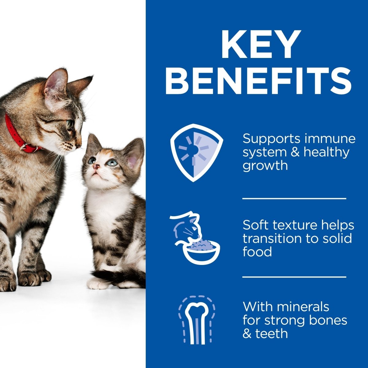 Hill’s Science Plan Kitten & Mother Mousse with Chicken & Turkey(24x85g) - Shopivet.com