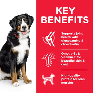 Hill’s Science Plan Large Breed Adult Dog Food With Chicken (18kg) - Shopivet.com