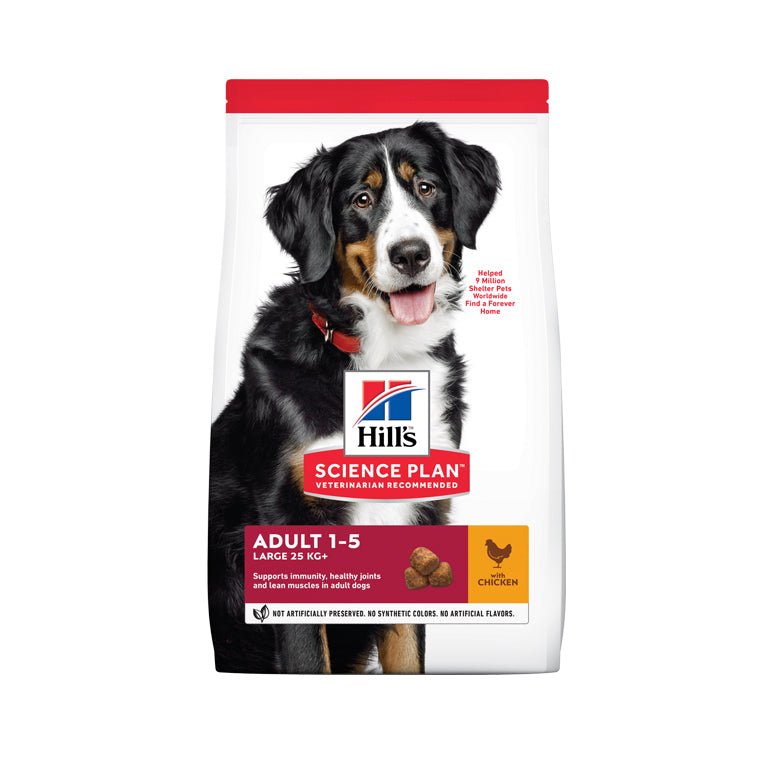 Hill’s Science Plan Large Breed Adult Dog Food With Chicken(2.5kg) - Shopivet.com