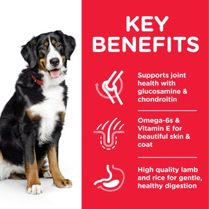Hill’s Science Plan Large Breed Adult Dog Food With Chicken(2.5kg) - Shopivet.com