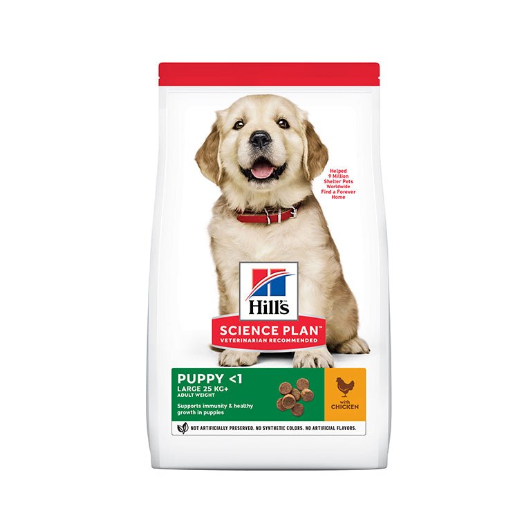 Hill’s Science Plan Large Breed Puppy Food With Chicken (2.5kg) - Shopivet.com