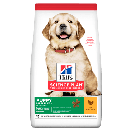 Hill’s Science Plan Large Breed Puppy Food With Chicken Value Pack (16kg) - Shopivet.com