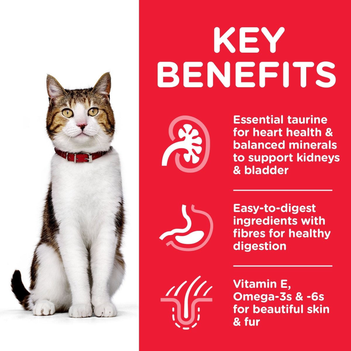 Hill’s Science Plan Mature Adult 7+ Cat Food With Chicken (1.5kg) - Shopivet.com