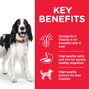 Hill’s Science Plan Medium Adult Dog Food With Lamb & Rice (14kg) - Shopivet.com