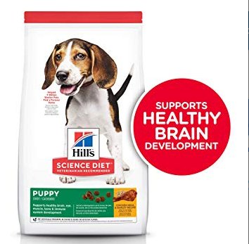 Hill’s Science Plan Medium Puppy Food With Chicken (800g) - Shopivet.com