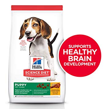 Hill’s Science Plan Medium Puppy Food With Chicken (800g) - Shopivet.com