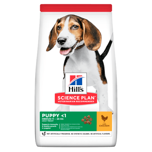 Hill’s Science Plan Medium Puppy Food With Chicken (800g) - Shopivet.com