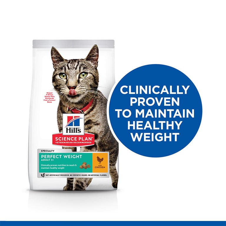 Hill’s Science Plan Perfect Weight Adult Cat Food With Chicken (7kg) - Shopivet.com