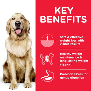 Hill’s Science Plan Perfect Weight Large Breed Adult Dog Food With Chicken (12kg) - Shopivet.com