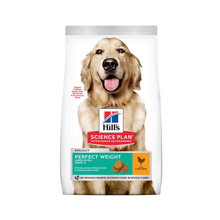 Hill’s Science Plan Perfect Weight Large Breed Adult Dog Food With Chicken (12kg) - Shopivet.com