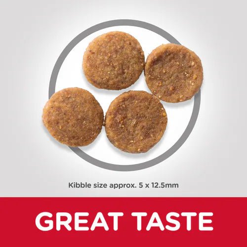 Hill’s Science Plan Perfect Weight Medium Adult Dog Food with Chicken (2kg) - Shopivet.com