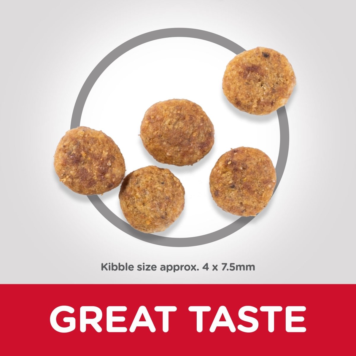 Hill’s Science Plan Perfect Weight Small & Mini Adult Dog Food With Chicken (1.5kg) - Shopivet.com