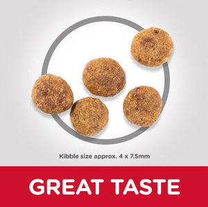 Hill’s Science Plan Perfect Weight Small & Mini Adult Dog Food With Chicken (1.5kg) - Shopivet.com