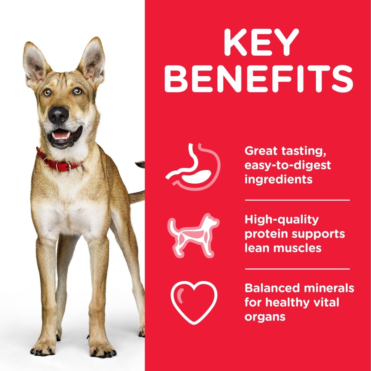 Hill’s Science Plan Performance Adult Dog Food With Chicken (14kg) - Shopivet.com