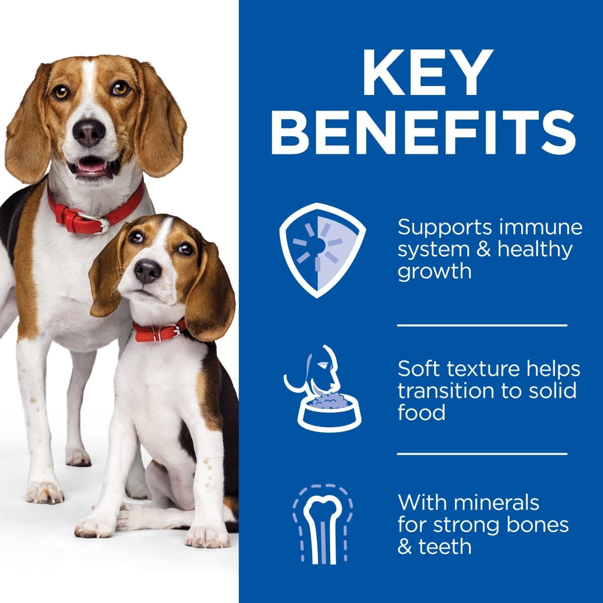Hill’s Science Plan Puppy & Mother Mousse with Chicken (12x200g) - Shopivet.com