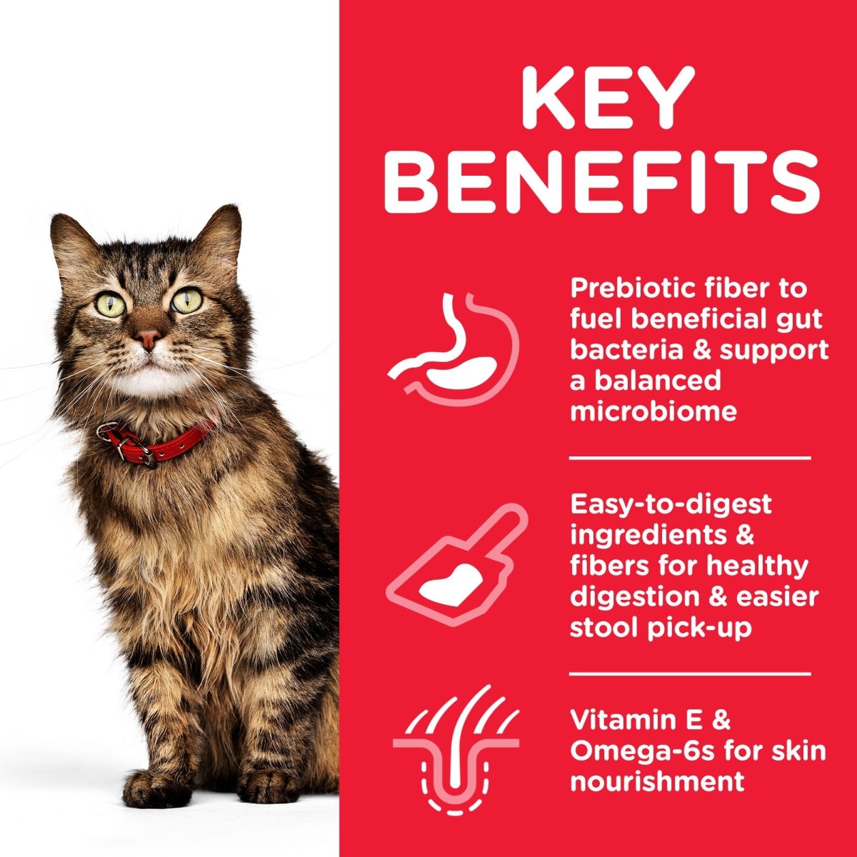 Hill’s Science Plan Sensitive Stomach & Skin Adult Cat Food With Chicken (1.5kg) - Shopivet.com