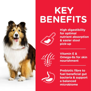 Hill’s Science Plan Sensitive Stomach & Skin Medium Adult Dog Food With Chicken (2.5kg) - Shopivet.com