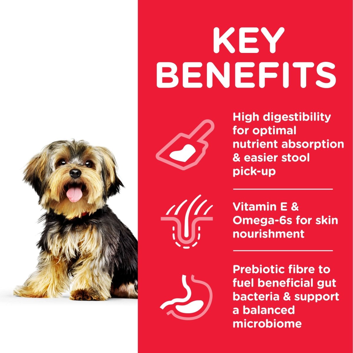 Hill’s Science Plan Sensitive Stomach & Skin Small & Mini Adult Dog Food With Chicken (1.5kg) - Shopivet.com