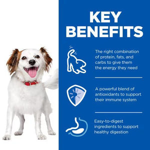 Hill’s Science Plan Small and Mini Adult Dog Mousse (12x200g) - Shopivet.com
