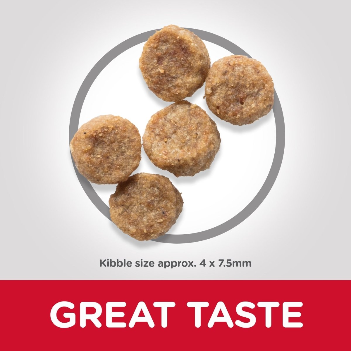 Hill’s Science Plan Small & Mini Mature Adult 7+ Dog Food With Chicken (3kg) - Shopivet.com