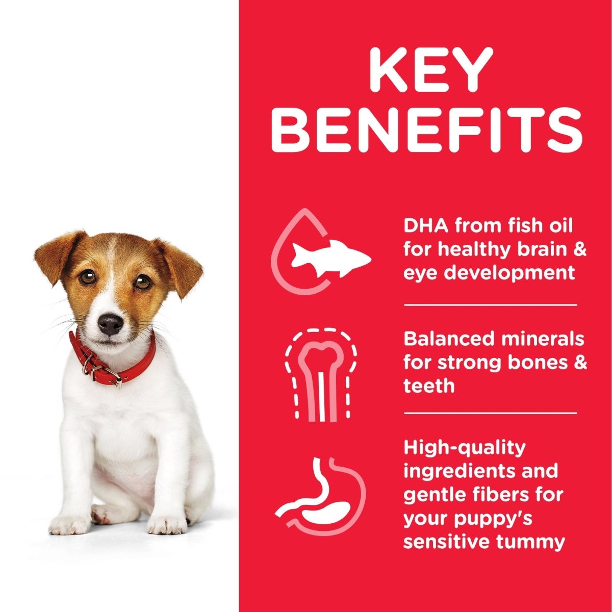 Hill’s Science Plan Small & Mini Puppy Food With Chicken (300g) - Shopivet.com
