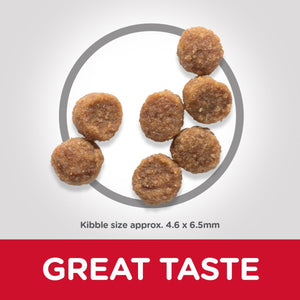 Hill’s Science Plan Small & Mini Puppy Food With Chicken (6kg) - Shopivet.com