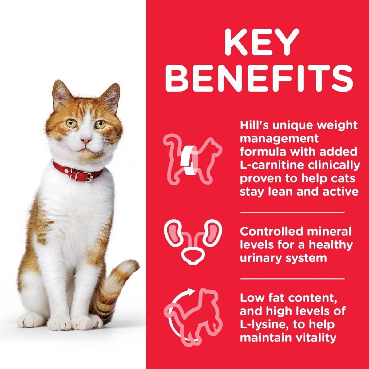 Hill’s Science Plan Sterilised Cat Adult With Chicken (1.5kg) - Shopivet.com