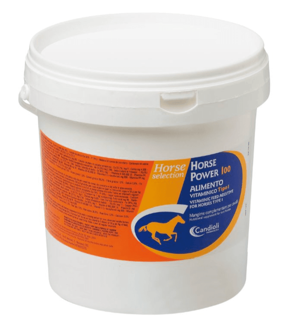 Horse Power 100 4 kg - Shopivet.com