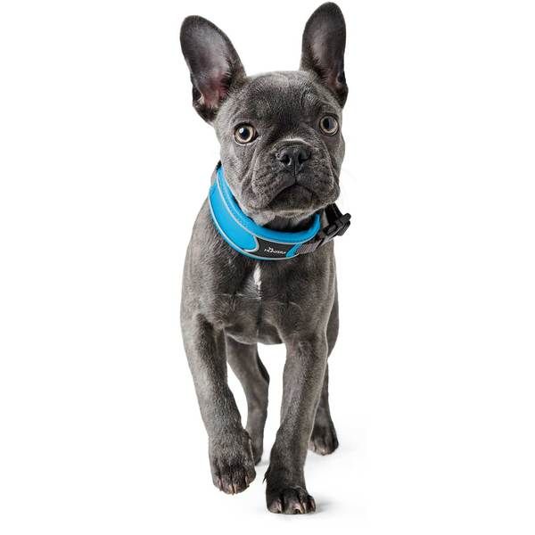 Hunter Divo Dog Collar - Grey Medium - Shopivet.com