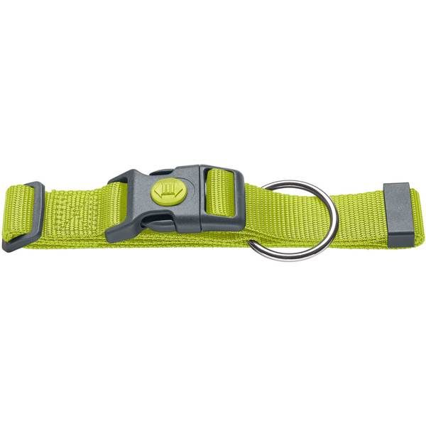 Hunter London Dog Collar - LIME Medium - Shopivet.com