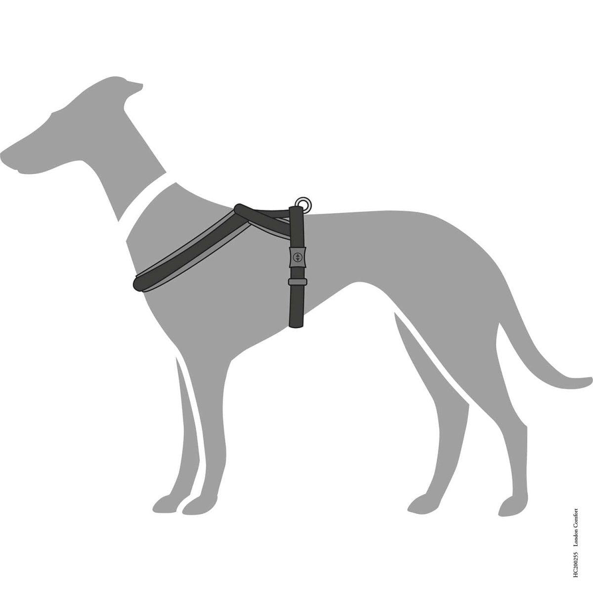 Hunter London Dog Harness - BLACK S - M 52 - Shopivet.com