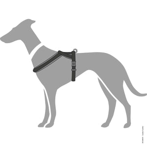 Hunter London Dog Harness - BLACK S - M 52 - Shopivet.com