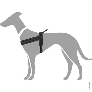 Hunter Meldal Dog Harness - BLACK M/L - Shopivet.com