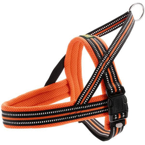 Hunter Meldal Dog Harness - ORANGE MEDIUM - Shopivet.com