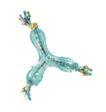 Hunter Chewing Boomerang Dog Toy - BLUE