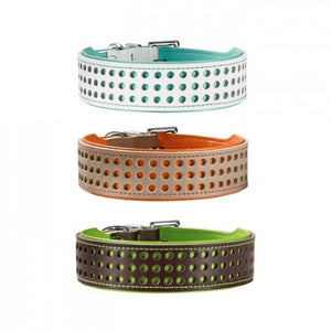 Hunter Marbella Dog Collar - Turquoise 49