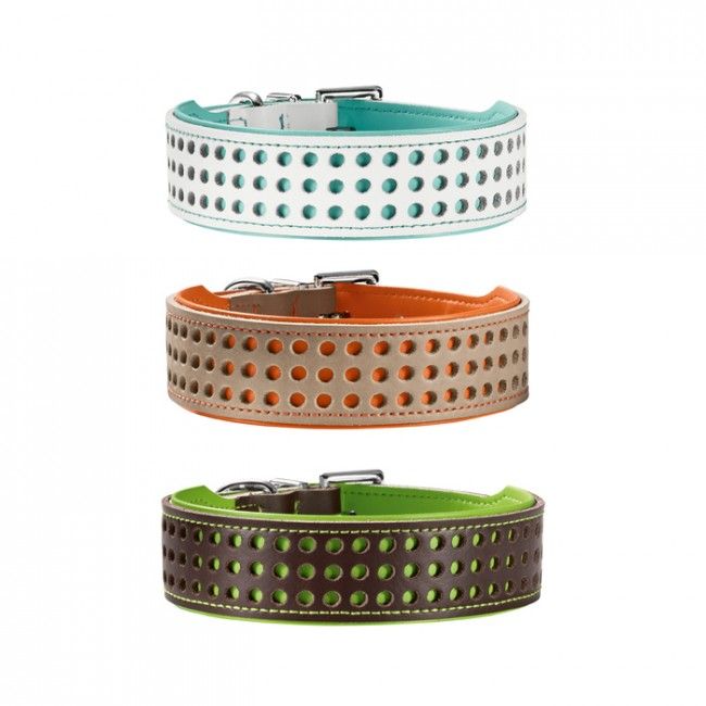 Hunter Marbella Dog Collar - ORANGE 43.5