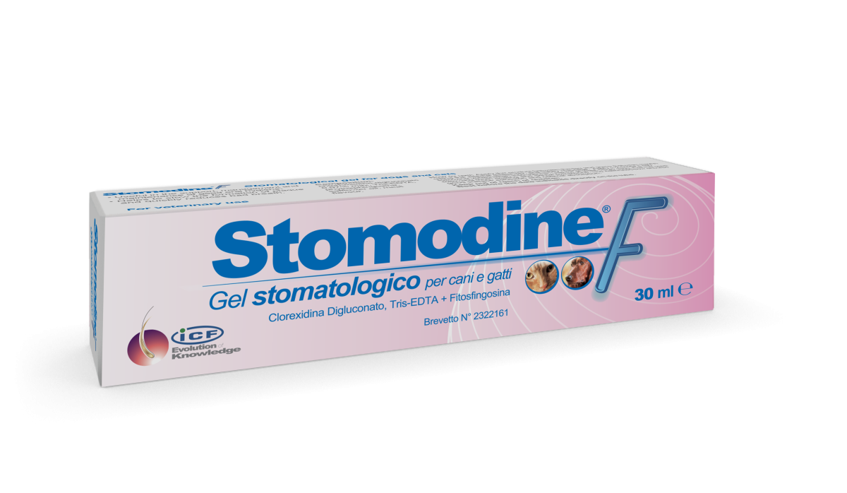 ICF Stomodine F Gel for Dogs and Cats 30 ml