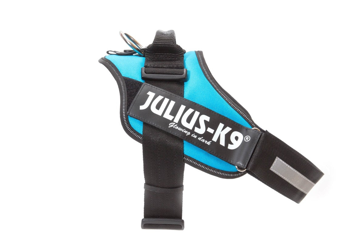 IDC Powerharness - Aquamarine / Size 3