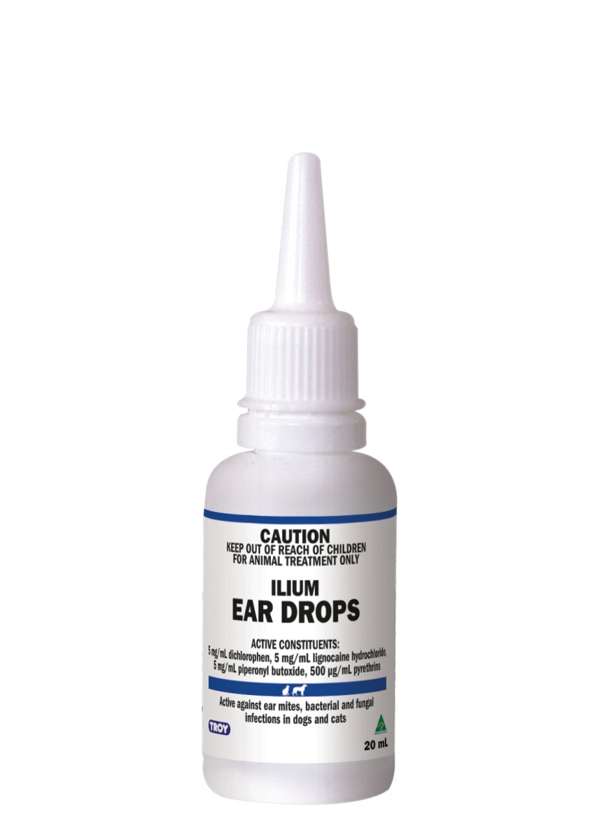 ilium Ear Drops 20ml - Shopivet.com