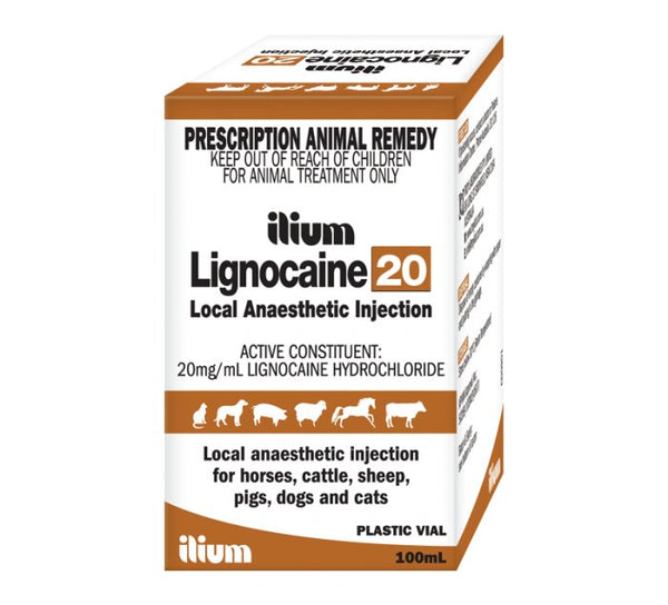 ilium Lignocaine 20 100mL - Shopivet.com