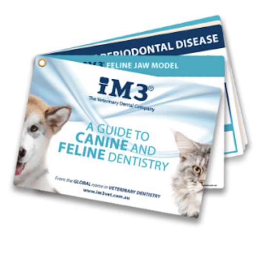 iM3 Dental Reference Cards - Shopivet.com
