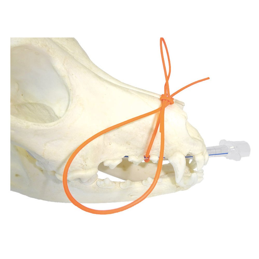 Im3 Endotracheal Tube Tie - Shopivet.com